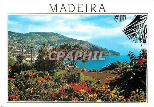 Cartes postales moderne Funchal Madeira Vue orientale