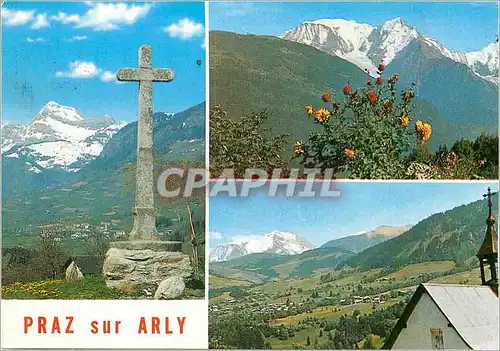 Cartes postales moderne Praz sur Arly Hte Savoie Vue generale depuis la Croix du Bouchet Le Mont Blanc