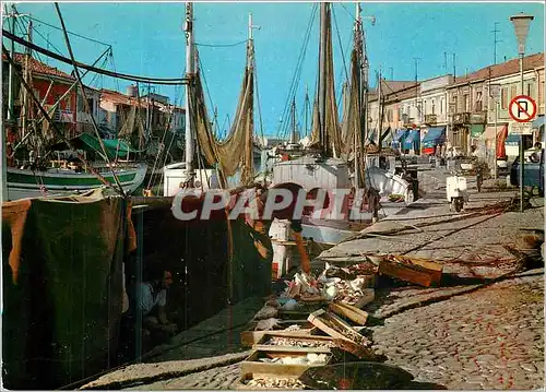 Cartes postales moderne Riviera Adriatica Cesenatico Port Canal Bateaux de peche