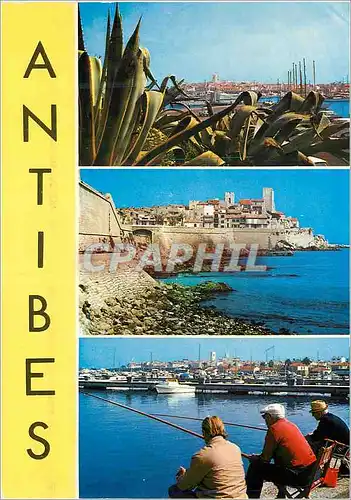 Cartes postales moderne Souvenir d Antibes