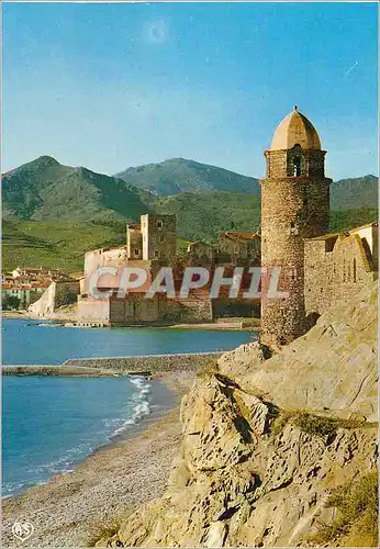 Cartes postales moderne Collioure PO Le clocher de l Eglise et le Chateau Fort