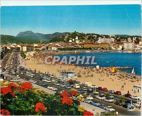 Cartes postales moderne La Cote d Azur Frejus Plage Var Le Boulevard de la Liberation