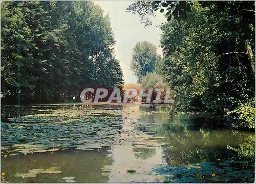 Cartes postales moderne Charny Yonne Les bords de l Ouanne