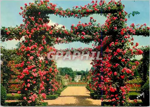 Cartes postales moderne Paris Bois de Boulogne La Roseraie de Bagatelle