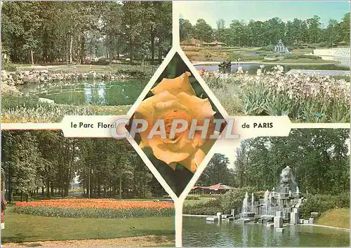 Cartes postales moderne Dans le bois de Vincennes