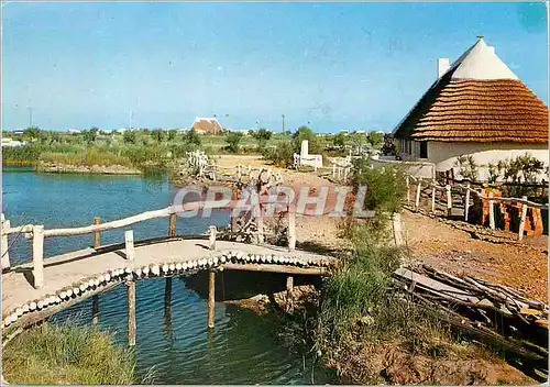 Moderne Karte Camargue Lumieres et Traditions Pont de bois sur une roubine