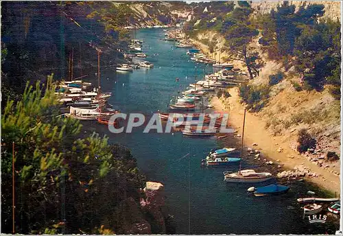 Moderne Karte Cassis sur Mer B du R La Calanque du Port Miou