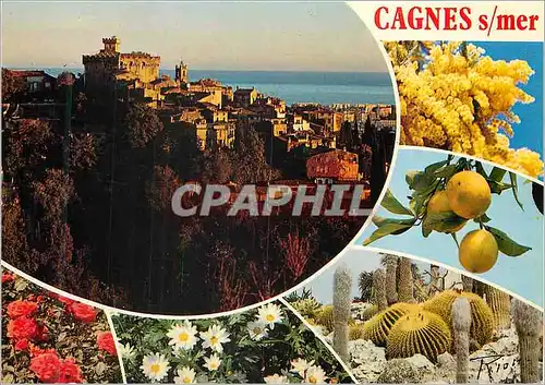 Cartes postales moderne Cagnes sur mer