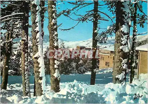 Cartes postales moderne Pyrenees Orientales Font Romeu Station de sports d hiver et d ete