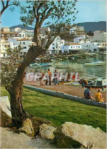 Cartes postales moderne Llansa Costa Brava Gerona Port Quai Bateaux