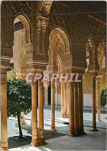 Cartes postales moderne Granada Alhambra Cour de les Lions