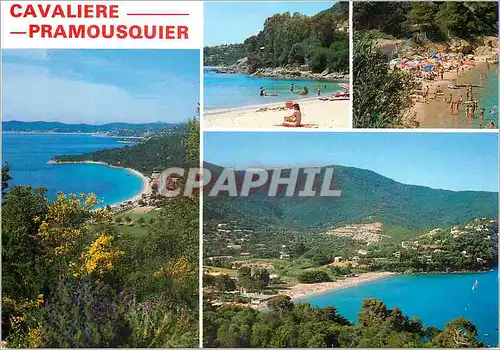 Cartes postales moderne Cavaliere Pramousquier Var