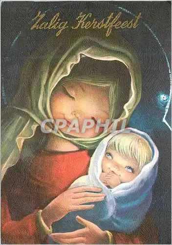 Cartes postales moderne Ten bate der blinden van de VZWD De Zon in de Nacht Maffle