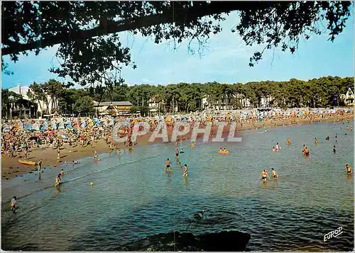Cartes postales moderne Cote de Beaute St Palais Chte Mme La Plage