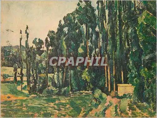 Cartes postales moderne P Cezanne Les peupliers Musee du Louvre