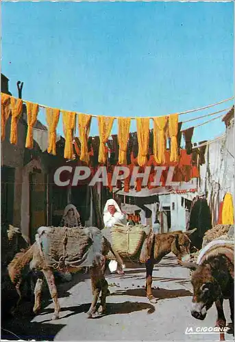 Cartes postales moderne Scenes et Types Souk des Teinturiers Ane Donkey