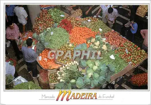 Cartes postales moderne Madeira Mercado do Funchal