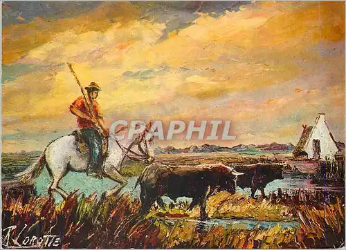 Cartes postales moderne En Camargue Peinture de R Lorotte
