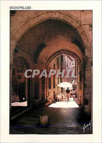 Cartes postales moderne Montpellier Rue du Bras de Fer