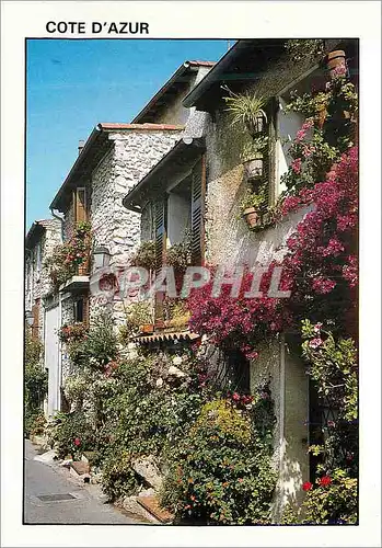 Cartes postales moderne Cote d Azur