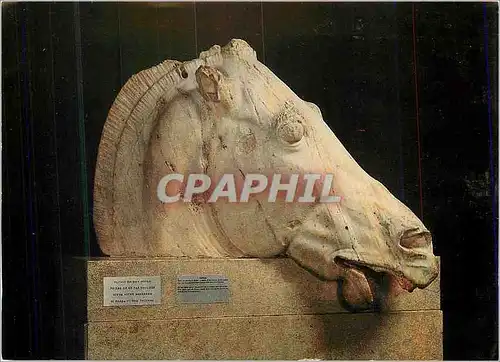 Cartes postales moderne The British Museum Horse of Selene From the east pediment of the Parthenon