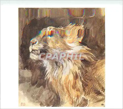 Cartes postales moderne Eugene Delacroix Tete de Lion rugissant Aquarelle sur traits a la mine de plomb