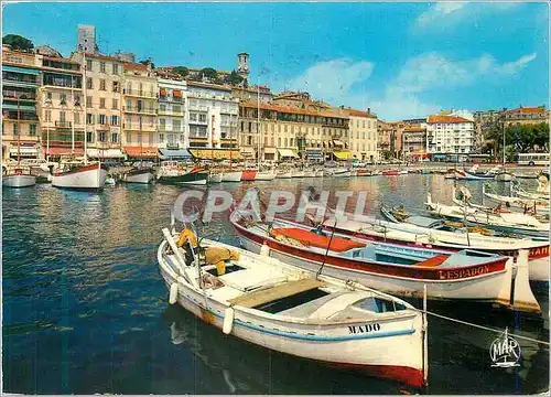 Cartes postales moderne La Cote d Azur Cannes Le Quai St Pierre Bateaux