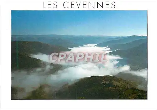 Moderne Karte Paysage des Cevennes Nuages dans les vallees cevenoles au petit matin