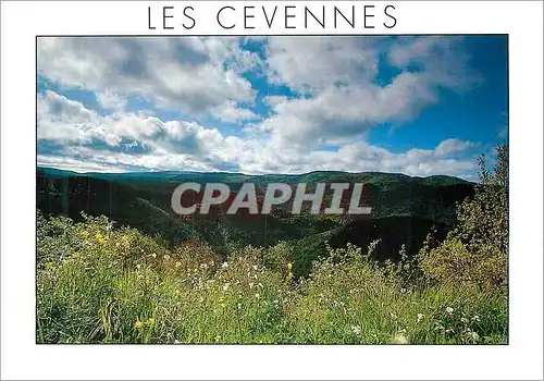 Moderne Karte Les Cevennes