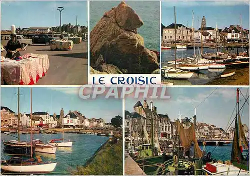 Cartes postales moderne Le Croisic Loire Atlantique Le port et la Tete de l Ours sur la cote sauvage