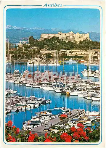 Cartes postales moderne Cote d Azur Antibes AM Le port de plaisance au fond le Fort Carre et les Alpes neigeuses