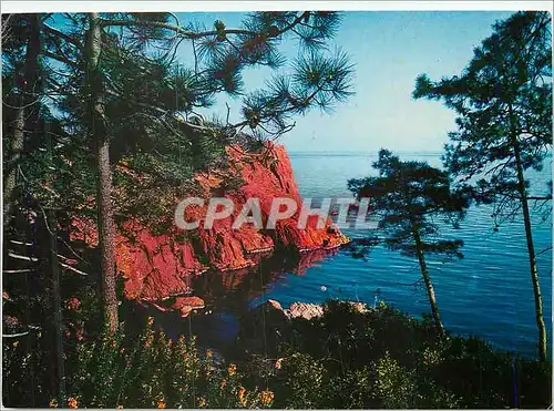 Cartes postales moderne Charme et soleil de la Cote d Azur Les roches rouges