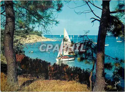 Cartes postales moderne Ile de Re Charente Maritime La Plage de Trouse Chemise et la pointe du Fiers d Ars