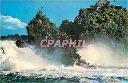 Cartes postales moderne Schloss Laufen am Rheinfall