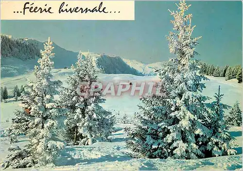 Cartes postales moderne Feerie hivernale