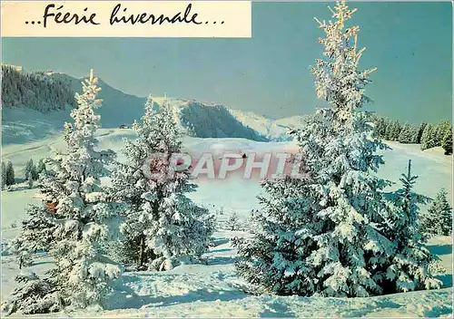 Moderne Karte Feerie hivernale