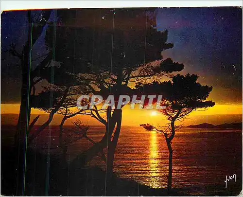 Cartes postales moderne Couleurs et Lumiere de France Crepuscule sur la mer
