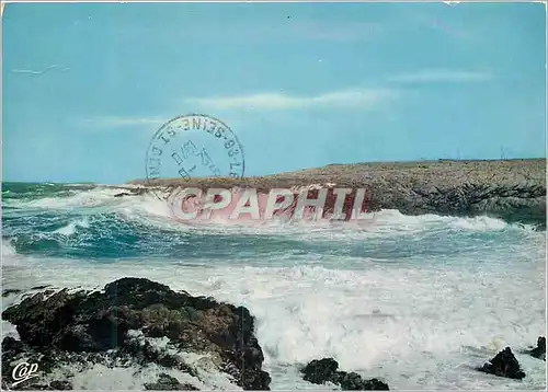 Cartes postales moderne Quiberon La Cote Sauvage aux viviers