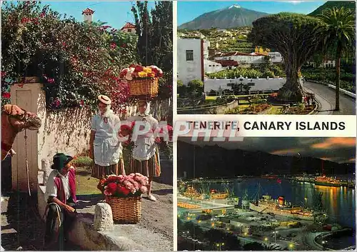 Moderne Karte Tenerife Canary Islands
