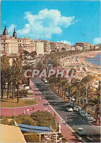 Cartes postales moderne Cannes La Promenade de la Croisette