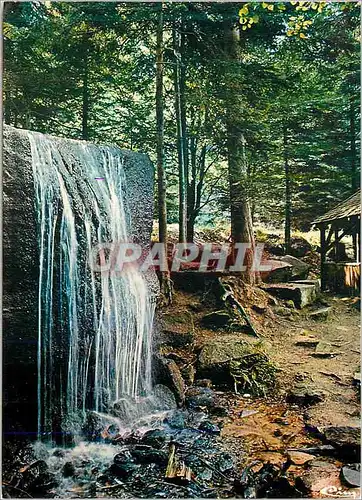 Cartes postales moderne Vosges Touristiques La Cascade des Molieres