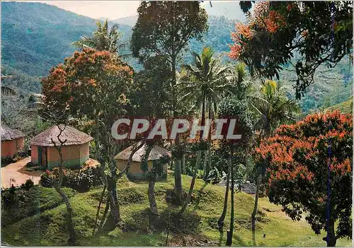 Cartes postales moderne La tribu de Bopope sur la transversalle Kone Tiwaka