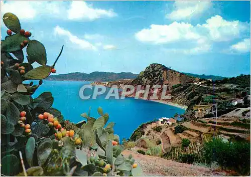 Cartes postales moderne Isola d Elba Posroferraio Les Prunini et le Capobianco