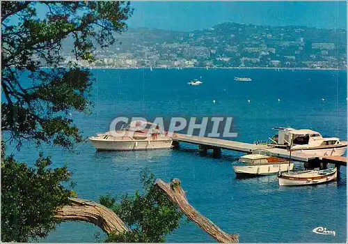 Cartes postales moderne Ile Ste Marguerite Cannes Alp Mar Bord de mer Bateaux