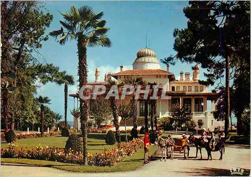 Moderne Karte Bassin d Arcachon Le Casino et les jardins Ane Donkey