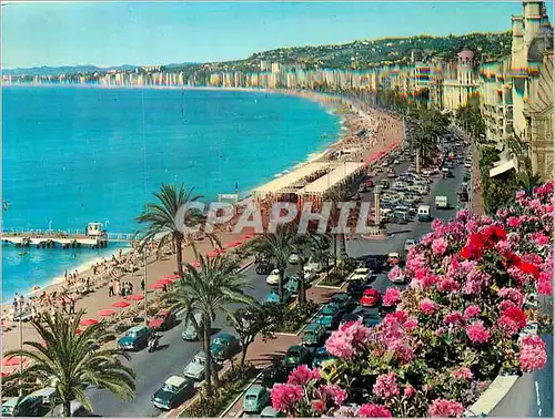 Cartes postales moderne Nice Promenade des Anglais