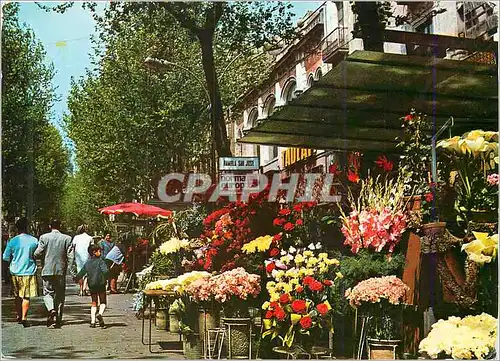 Cartes postales moderne Barcelona Rambla of the flowers