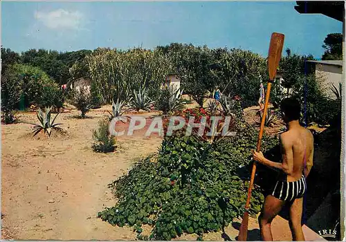 Cartes postales Giens (Var) Village de Vacances Air Sport Soleil