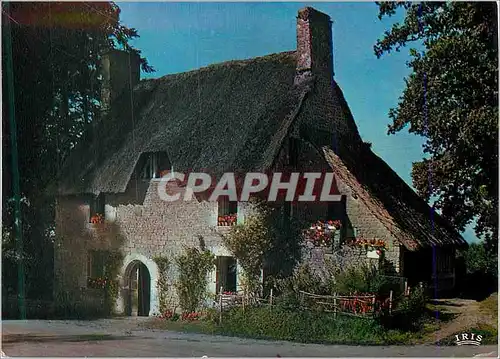 Cartes postales Maison Normande au Toit de Chaume la Luxuriante Normandie