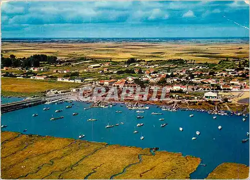 Cartes postales moderne L'Aiguillon sur Mer La Faute (Vendee) le Port